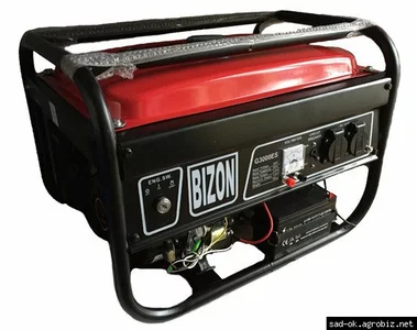 Генераторы Вizon Генераторы Вizon