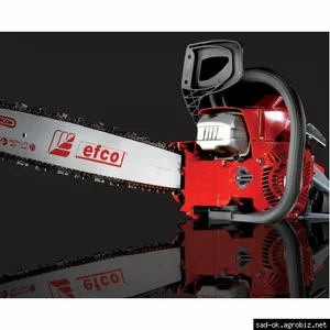 Бензопилы Efco (Италия) Бензопилы Efco (Италия)