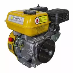 Двигатель бензиновый Forte F200G