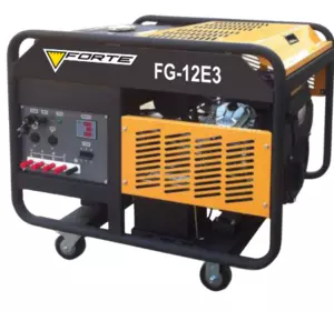 Forte FG12E3 Электрогенератор