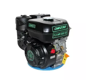 Двигатель бензиновый GrunWelt GW230-T/20 Евро 5 (шлиц, вал 20 мм, 7.5 л.с.)